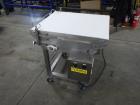 Bogner Industries Transfer Conveyor